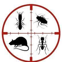 Bugstoppers Pest Control Inc