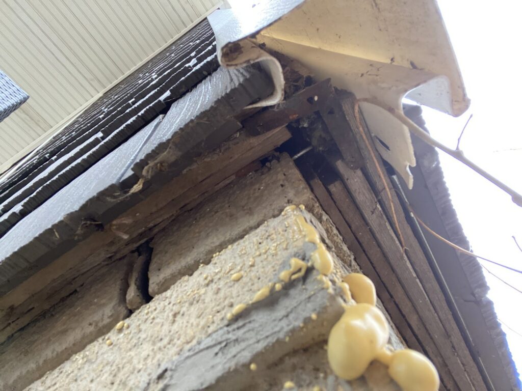 A building corner with damaged siding and expanding foam sealant, indicating pest exclusion and repair work by Moderno Pest Control in Fort Wayne, IN.