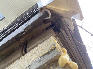 A building corner with damaged siding and expanding foam sealant, indicating pest exclusion and repair work by Moderno Pest Control in Fort Wayne, IN.