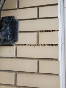 Holes in brick mortar, likely caused by carpenter bees, indicating pest damage addressed by SMART Exterminators in Cleveland, OH.