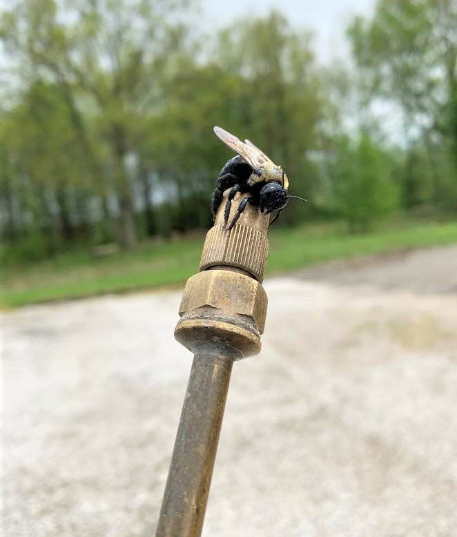 A carpenter bee resting on the nozzle of a pest control sprayer, indicating a job by Epcon Lane Pest Control in Akron, OH.