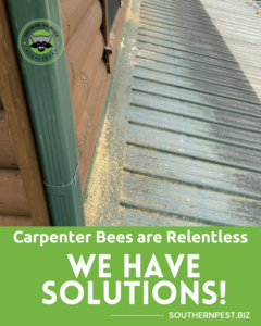 Sawdust from carpenter bee activity on a roof and gutter, indicating a pest problem, addressed by Johns Creek - Alpharetta Pest Control in Johns Creek, GA.