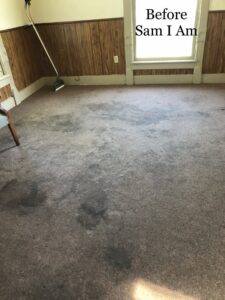 A clean carpet after service, with "After Sam I Am" text, by Sam I Am Carpet Cleaning in Rossville, IN