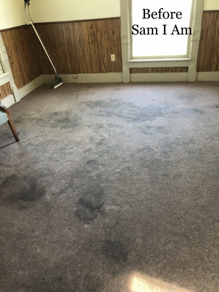 A clean carpet after service, with "After Sam I Am" text, by Sam I Am Carpet Cleaning in Rossville, IN