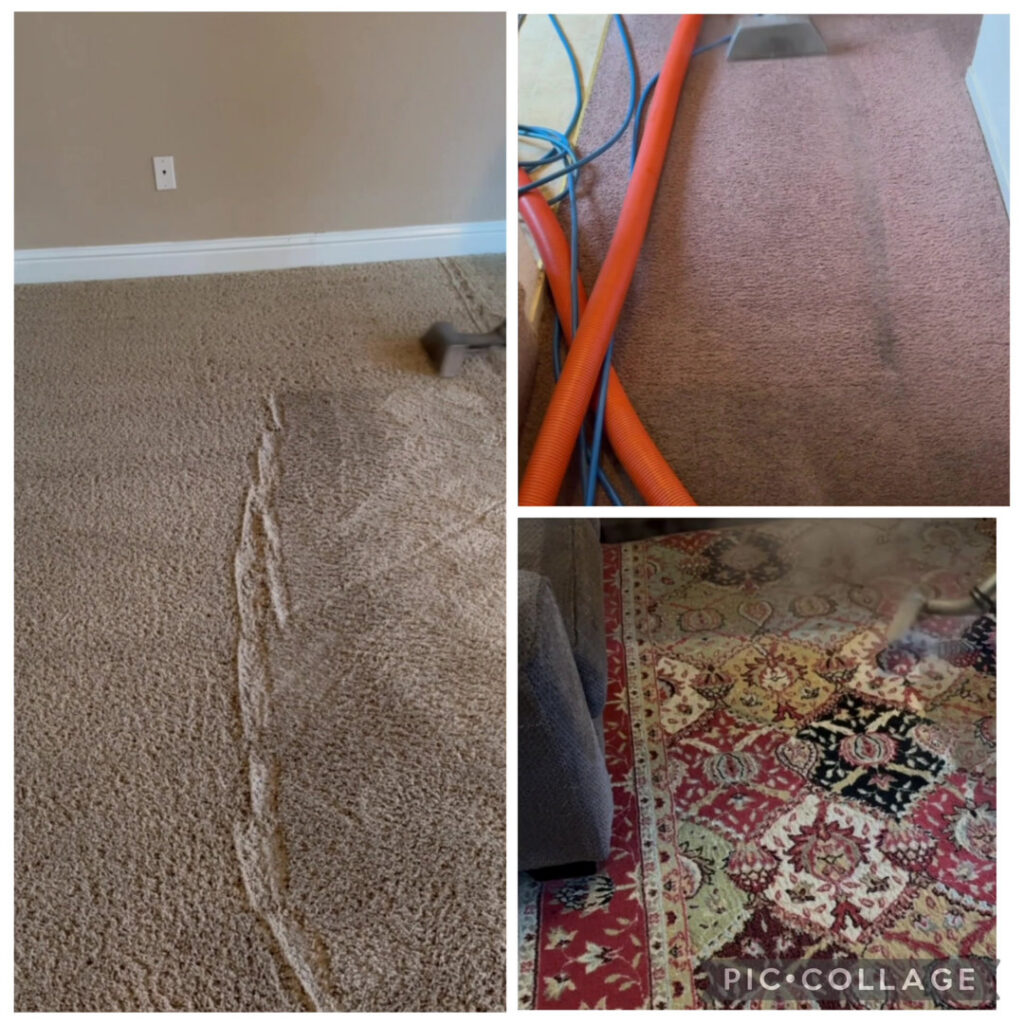 A collage showing carpet and area rug cleaning in progress by The Barreto Brothers Carpet Cleaning in Sacramento, CA
