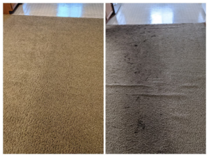 Before and after comparison of a dirty carpeted area cleaned by All Kleen Carpet Cleaning in Mountlake Terrace, WA.