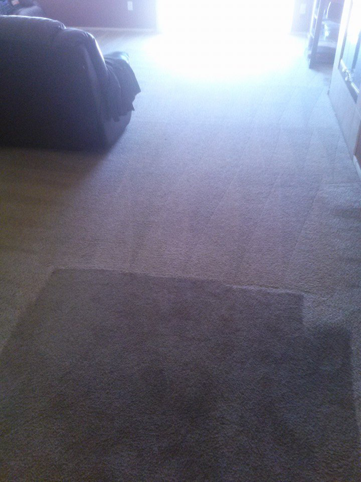 A clear before and after cleaning line on a carpet, demonstrating the effectiveness of Scrub Buds Carpet Cleaning in Las Vegas, NV.