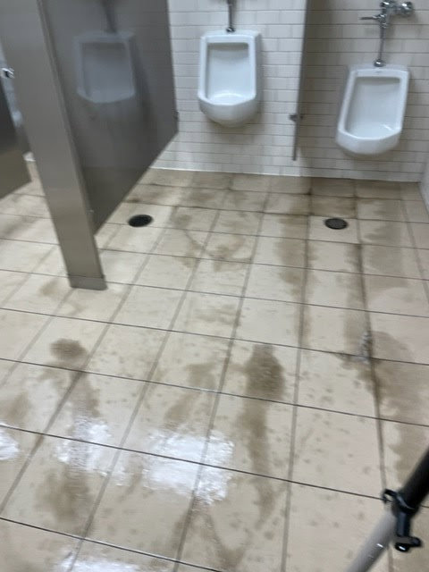 A carpet being professionally cleaned, showing the wet and dry areas, by Level 8 Steam Cleaning & Restoration in West Fargo, ND.