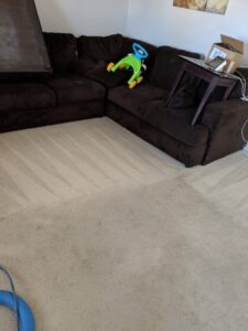 A carpet being cleaned, with a visible cleaning hose, by Alamogordo Carpet Cleaning in Alamogordo, NM.