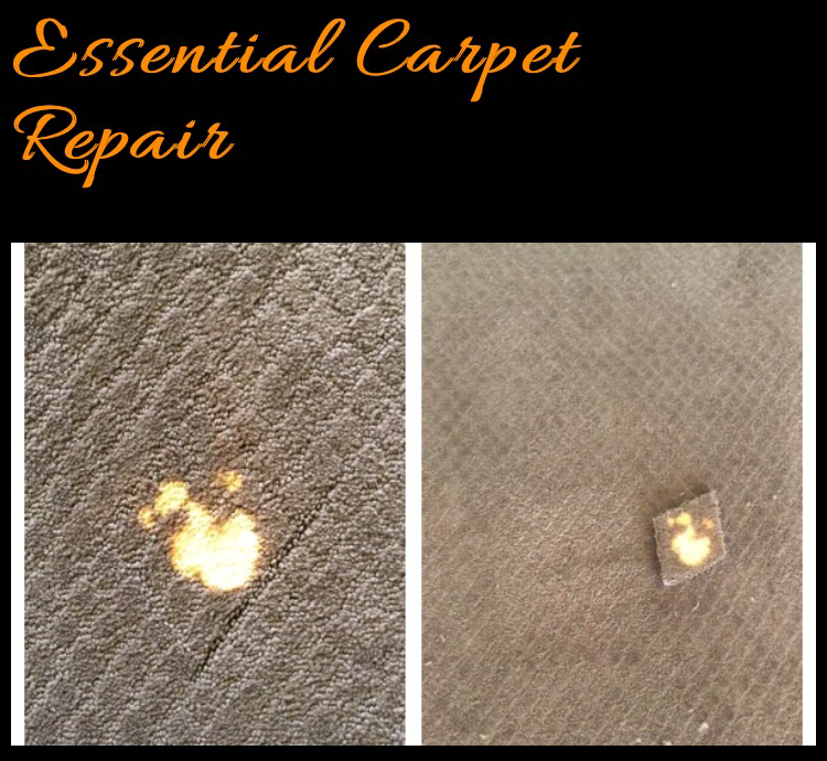 Before and after of a carpet burn repair using a patch by Essential Carpet Repair in Salt Lake City, UT.