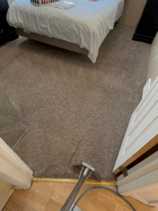 A professional carpet cleaning wand being used on a grey carpet in a bedroom by Dry Green Cleaning in Detroit, MI.