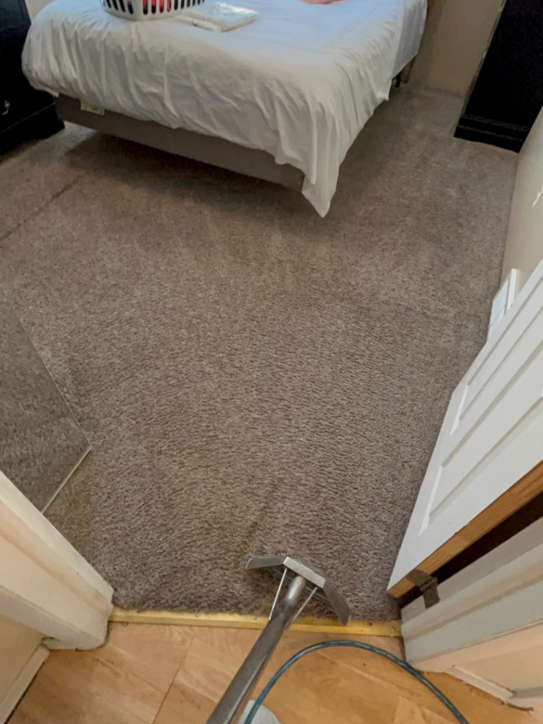 A professional carpet cleaning wand being used on a grey carpet in a bedroom by Dry Green Cleaning in Detroit, MI.
