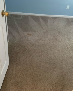 Carpet cleaning results in a bedroom showing fresh lines by Holland's pressure washing and carpet cleaning LLC in Columbus, GA