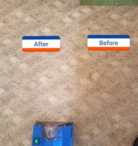 A before and after comparison showing a dirty carpet section next to a clean section after service by 765 Custom Cleaners in Lafayette, IN.