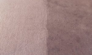 A close-up view of carpet showing a clean section next to a dirty section after cleaning by Alpine Carpet Care in Medford, OR.
