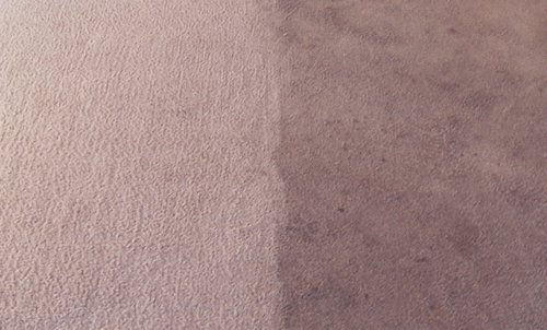 A close-up view of carpet showing a clean section next to a dirty section after cleaning by Alpine Carpet Care in Medford, OR.