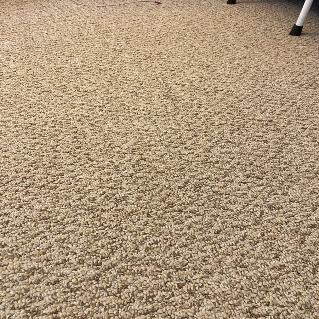 Close-up view of carpet showing a clear before and after cleaning difference by The Best Carpet & Tile Cleaners in Alva, FL.
