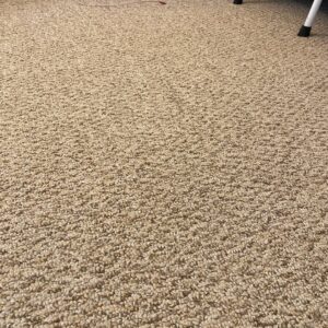 Close-up view of carpet showing a clear before and after cleaning difference by The Best Carpet & Tile Cleaners in Alva, FL.