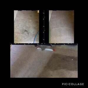 A collage showing before and after results of carpet cleaning, with a cleaning tool in action, by Alex's Janitorial and Carpet Cleaning in Bakersfield, CA