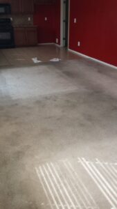 A carpet showing a clear before and after comparison of a cleaning job by A Plus Carpet Care in Redondo Beach, CA.