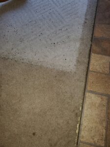 A carpet showing a clear before and after comparison during a professional cleaning job by A-Plus Carpet Cleaners in Plymouth, MN.