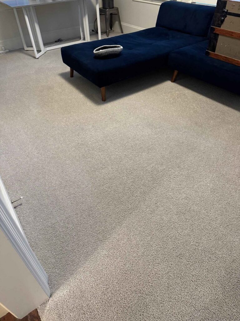 A visible clean strip on a carpet next to a dirty section, showcasing results from Chem-Dry of Seattle in Seattle, WA