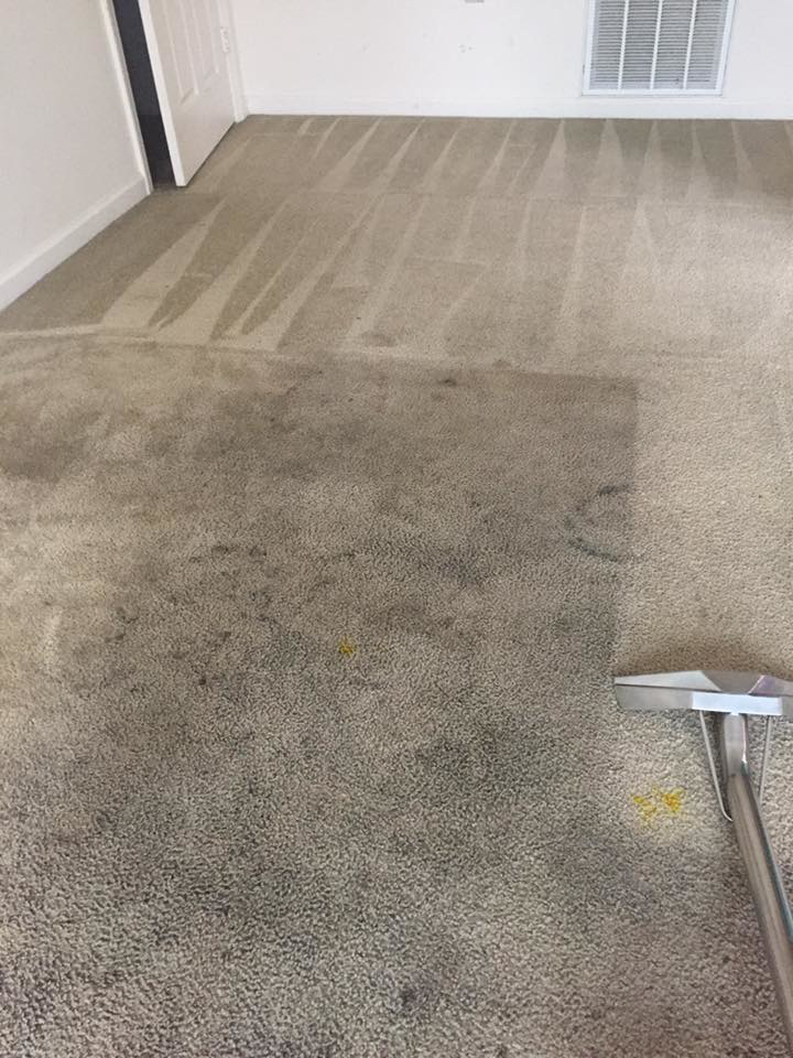 A clear before and after comparison of carpet cleaning in progress by Complete Carpet Care in Fort Wayne, IN.