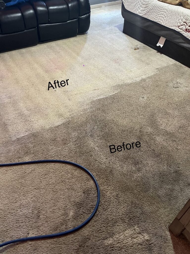 A carpet showing a clear before and after comparison of a professional cleaning strip, performed by Good Guys Carpet Cleaning in Katy, TX.