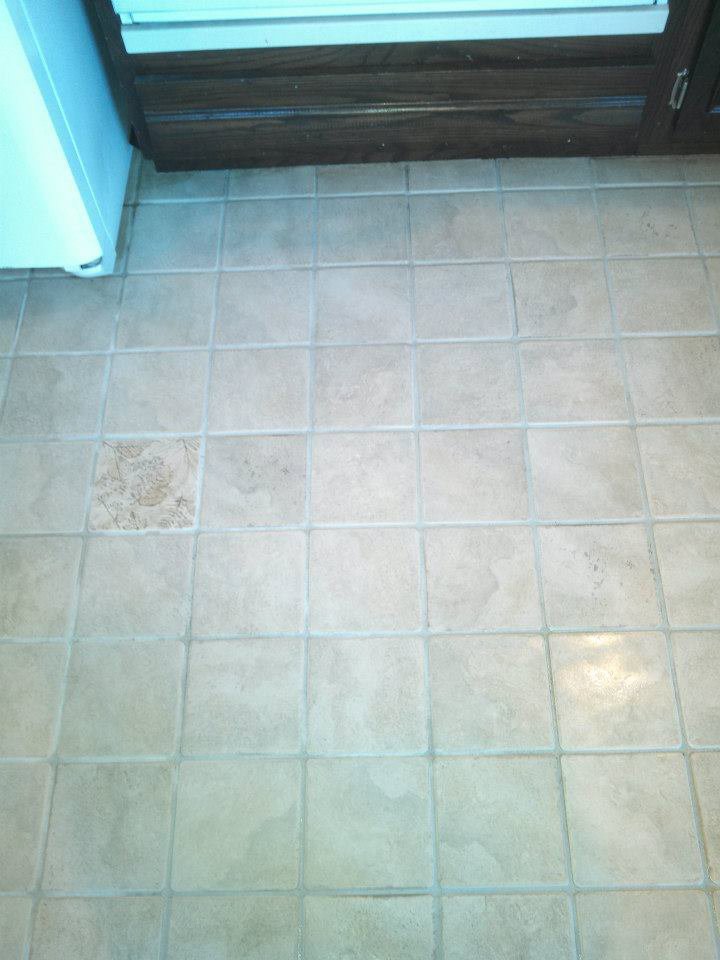 A clear line on a carpet showing the dramatic before and after results of cleaning by Green Bay Carpet Cleaning in Green Bay, WI.