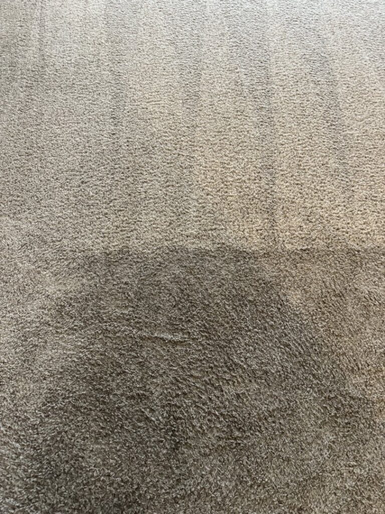 A close-up before and after comparison of carpet cleaning by Healthy Living Carpet & Tile Cleaning in Peoria, AZ.