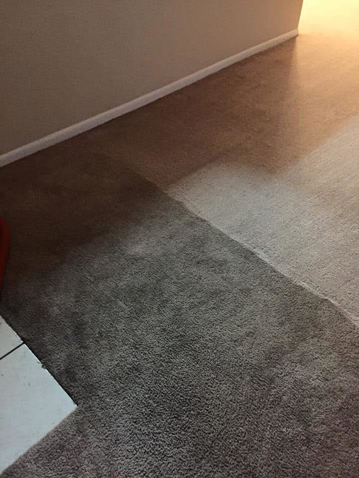 A clear comparison of a dirty and professionally cleaned carpet section by ISteam Carpet Care in Chattanooga, TN.