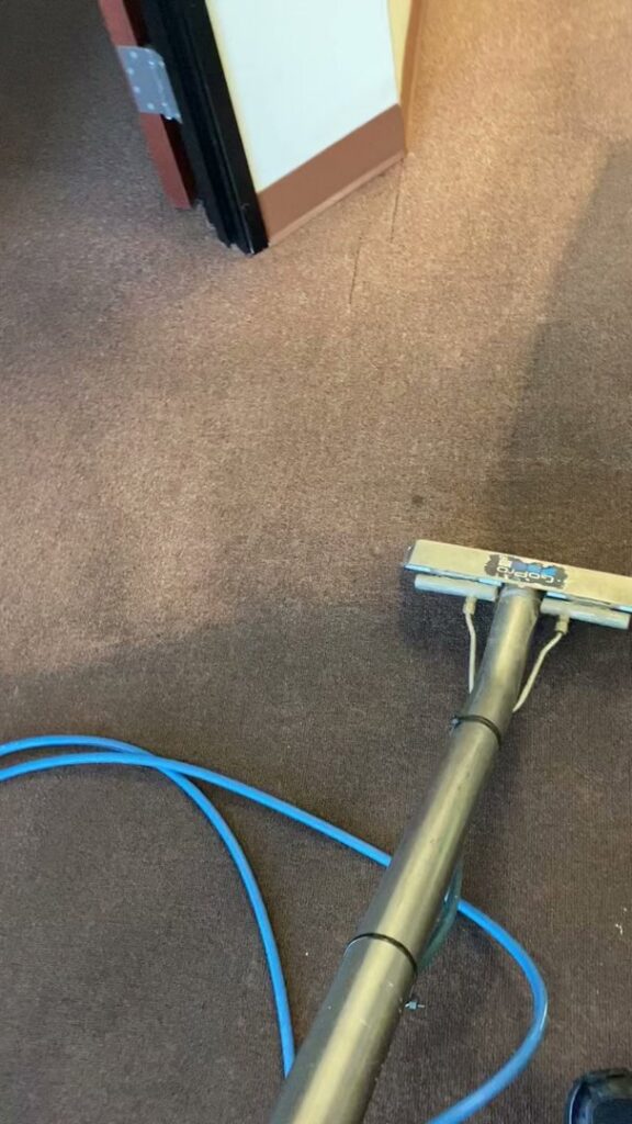 A carpet being cleaned with a visible before and after section by Easy Clean Carpet Care in Citrus Heights, CA