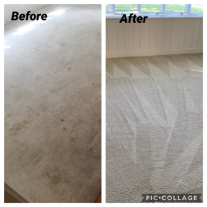 Before and after comparison of a carpet cleaning job by Elite Clean Steamers in Indianapolis, IN