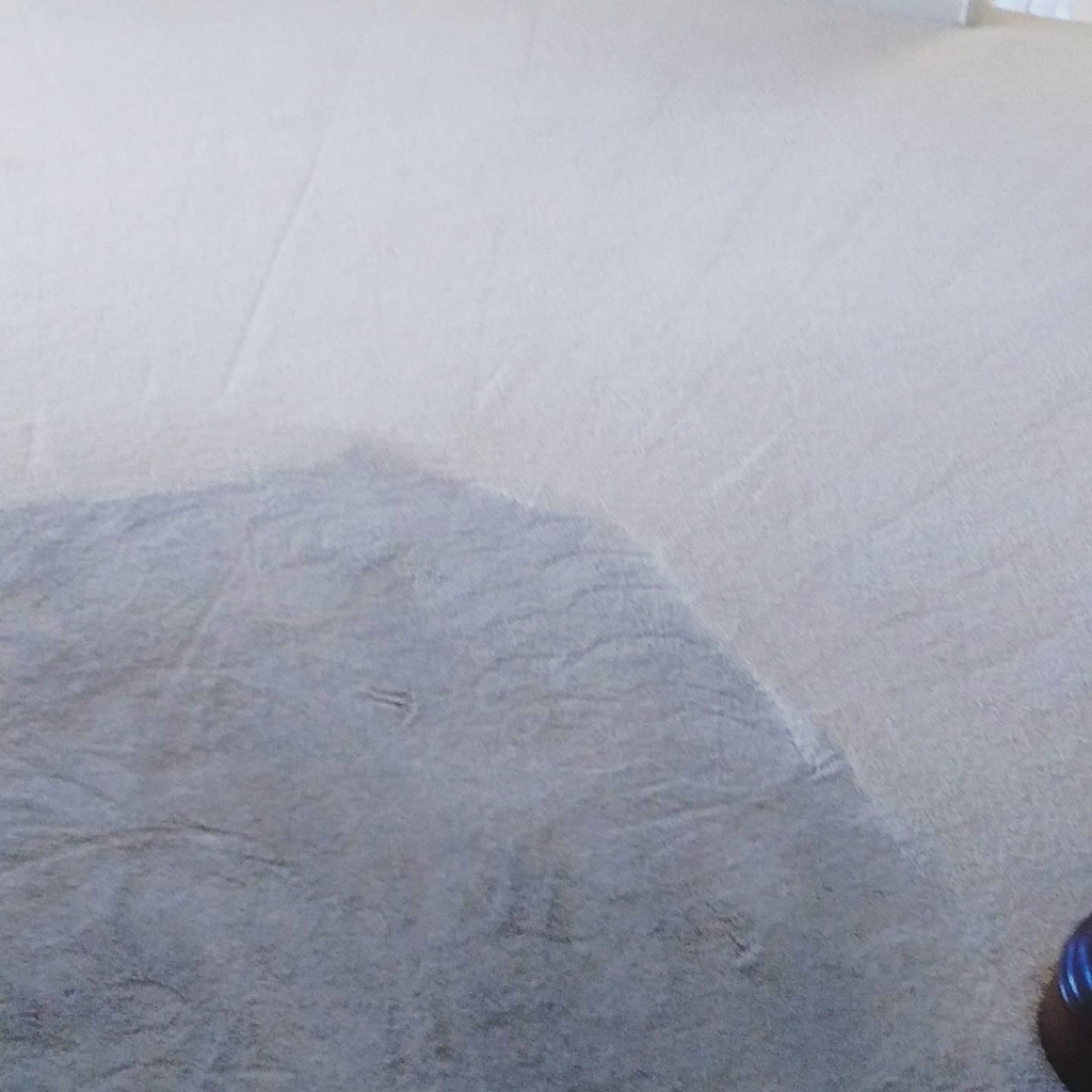 A close-up view of carpet showing a clear before and after cleaning difference by Epic Carpet and Tile Care in Phoenix, AZ