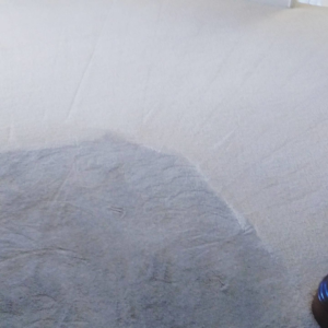 A close-up view of carpet showing a clear before and after cleaning difference by Epic Carpet and Tile Care in Phoenix, AZ