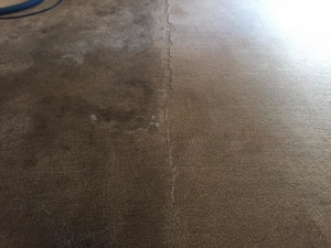 Before and after view of a carpet cleaning job by Flooring Concepts Clean And Seal LLC in Tucson, AZ, showing a clean and dirty section.