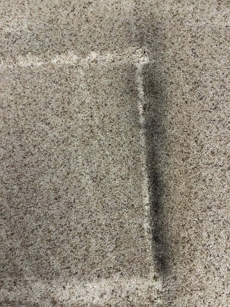 Close-up of carpet showing a clean strip next to a dirty area, demonstrating effective carpet cleaning by Greensboro Carpet Cleaning - DeepClean in Greensboro, NC