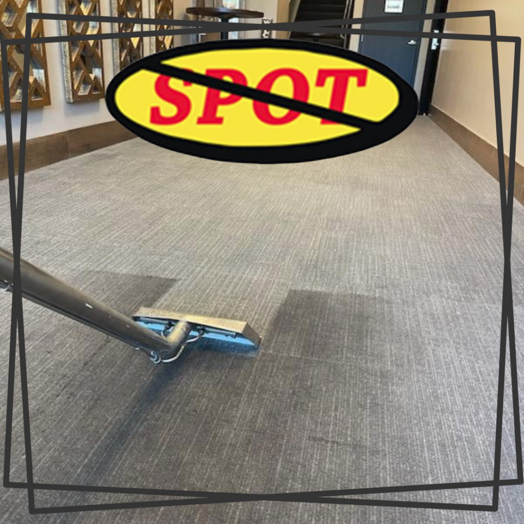 A clear before and after view of grey patterned carpet being cleaned by Spot Free Cleaning Services in Brownsburg, IN.