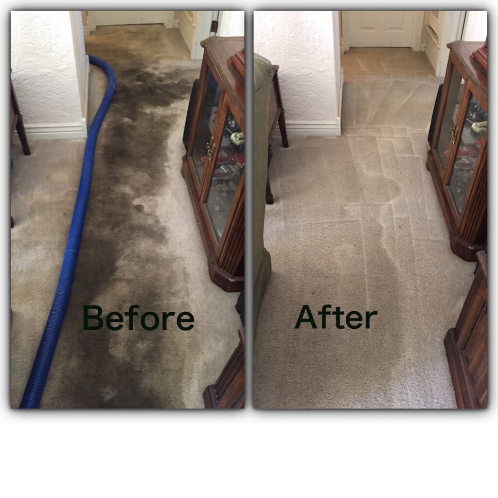 Before and after professional carpet cleaning in a hallway by Arizona Steamers Carpet Care in Phoenix, AZ.