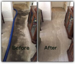 Before and after professional carpet cleaning in a hallway by Arizona Steamers Carpet Care in Phoenix, AZ.