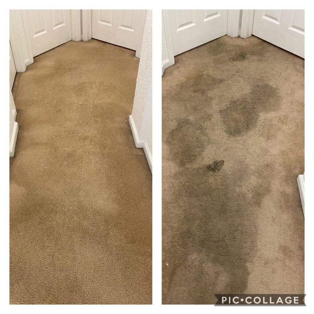 Before and after comparison of a dirty carpeted hallway transformed by professional cleaning from Chem-Dry Nona in Orlando, FL.