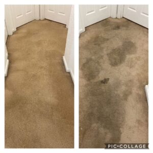 Before and after comparison of a dirty carpeted hallway transformed by professional cleaning from Chem-Dry Nona in Orlando, FL.