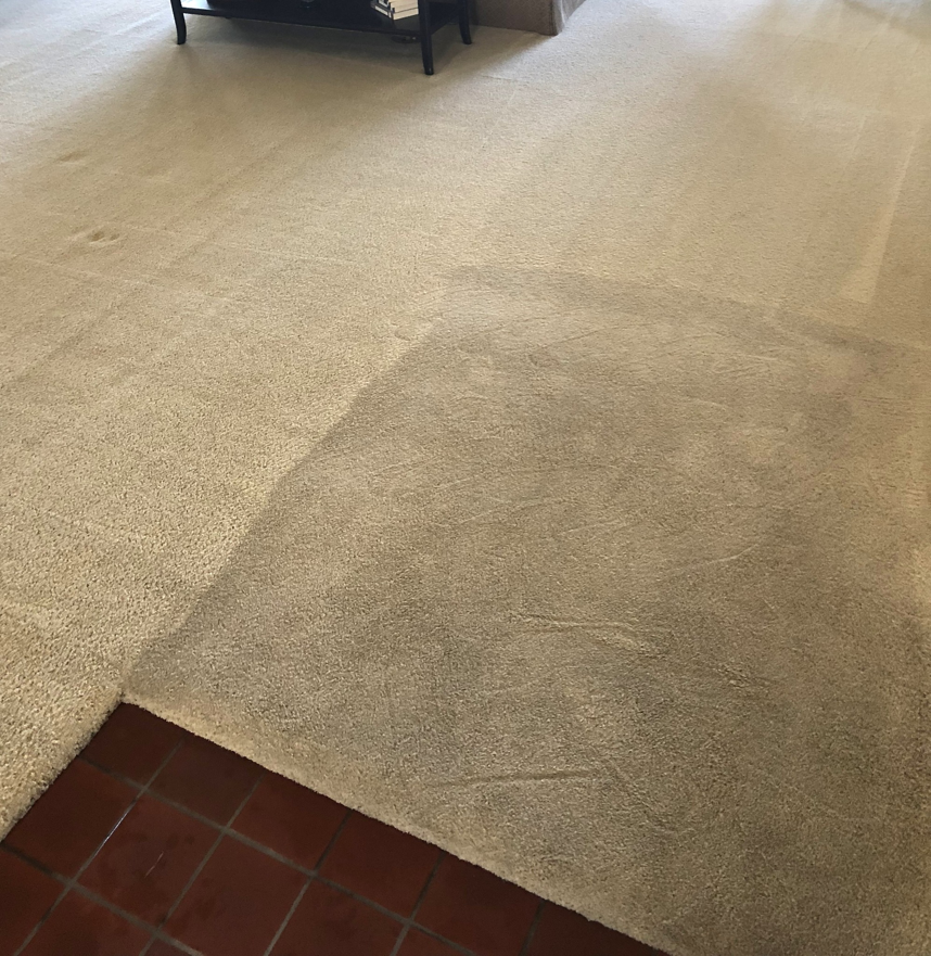 A carpet showing a clear before and after cleaning difference by Healthy Home Carpet Care in Houston, TX.