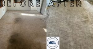 A before and after view of a carpeted room after professional cleaning by Homestead Carpet Care in Rapid City, SD.