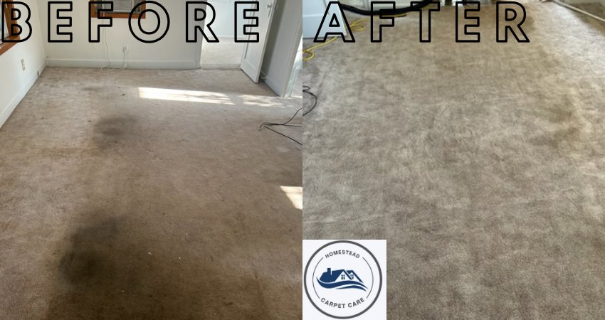 A before and after view of a carpeted room after professional cleaning by Homestead Carpet Care in Rapid City, SD.