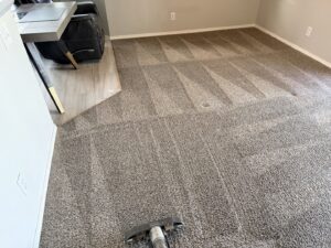 Carpet cleaning in progress, showing a clear difference between the cleaned and uncleaned areas by KD Carpet Cleaning in Albuquerque, NM.