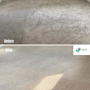 Before and after comparison of a carpet cleaned by LHB Clean Team, showcasing effective results in Harrisburg, PA.
