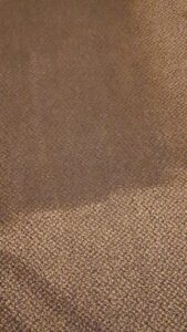 Close-up of carpet cleaning showing a clear before and after line by Keith's Cleaning Service in Auburn, ME