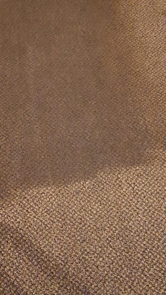 Close-up of carpet cleaning showing a clear before and after line by Keith's Cleaning Service in Auburn, ME