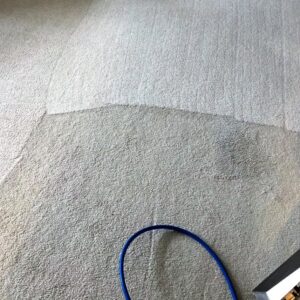 A clear before and after line on a carpet showing cleaning results by S&J Carpet Care in Oswego, IL